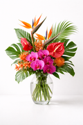 Paradise Blooms