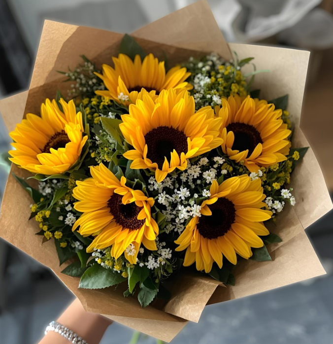 Here Comes the Sun